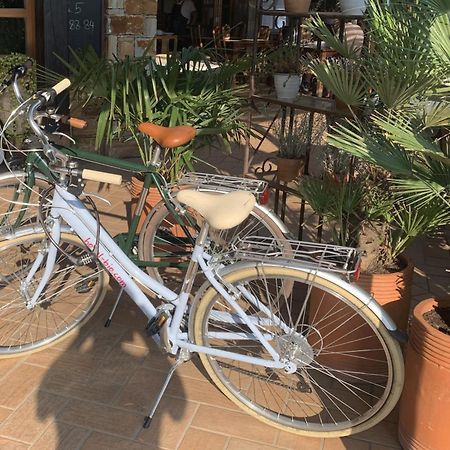 Hotel Bio Koper Ngoại thất bức ảnh
